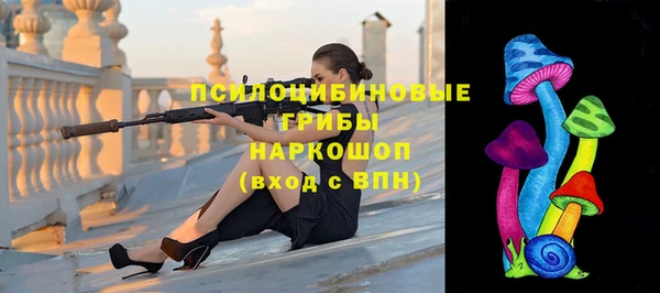 spice Семёнов