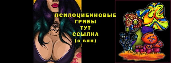 герыч Аркадак