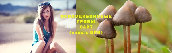 прущая мука Арсеньев