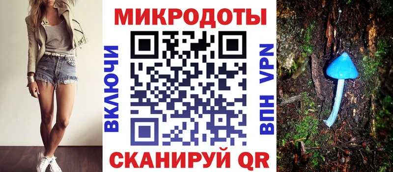 закладка  Стрежевой  Псилоцибиновые грибы Cubensis 